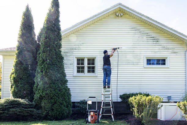 Best Driveway Cleaning and Restoration in Roscoe, IL